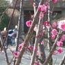 春とバイク
