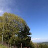 埼玉県秩父高原牧場にて