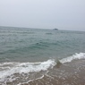 くじら島