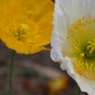 P5070345