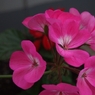 P5070366