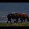 阿蘇山