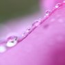 雨音はショパンの調べ。。。。