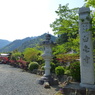 白毫寺