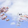 春風に乗って