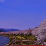 Cherry tree of the riverbed