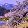 The air is full of spring