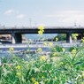 ２０１３．５　京都