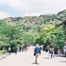 ２０１３．５　京都