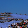 IMG0029