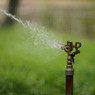 Splash!