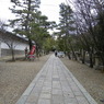 御香宮参道