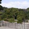 桃山御陵風景