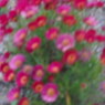 P5121367