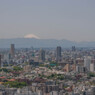 5月の富士山