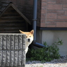 ん?
