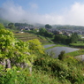 朝霧が晴れて①