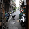 台北