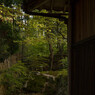 近江名刹紀行【石の寺－教林坊】　薄日