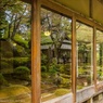 近江名刹紀行【石の寺－教林坊】　庭をうつして