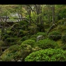 近江名刹紀行【石の寺－教林坊】　小堀遠州の庭