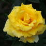 P6170287