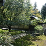 常照皇寺
