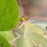 IMG_2737tr