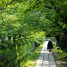 2013年5月　銀閣寺あたり