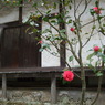 DSCF0641