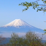 風林火山