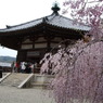 DSCF0559