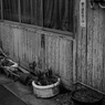 Something Transitory #1