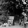 Something Transitory #4