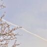 春の空