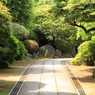 おもてなし