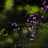 点・点