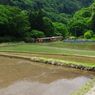 棚田の中を行く
