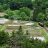 田植えとわ鐵