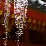 軒先