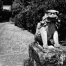 狛犬