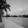 HONOLULU 2005 SUMMER　⑦