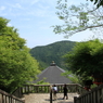 緑と石階段
