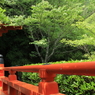 お寺と緑