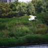 IMG_4075tr