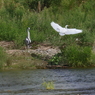 IMG_4040tr