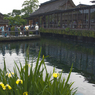 忍野八海01