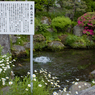 忍野八海09