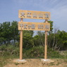 千丈ケ嶽（大江山山頂）