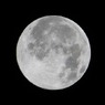 満月の夜に
